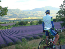France-Provence-Alpilles & Luberon by Bike